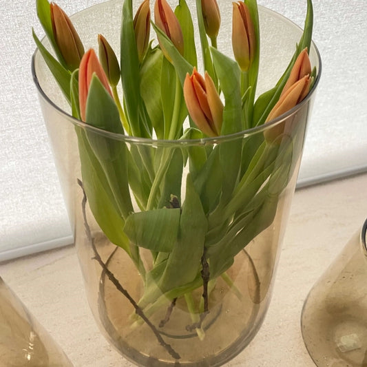 VALENCIA DROP VASE - CHAMPAGNE H35CM - LÜBECH LIVING